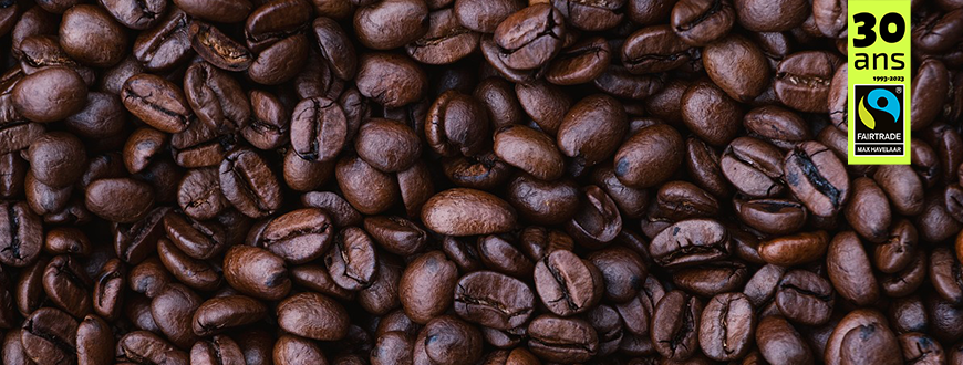 Café en grain Mexique Bio - Torréfaction de Brocéliande