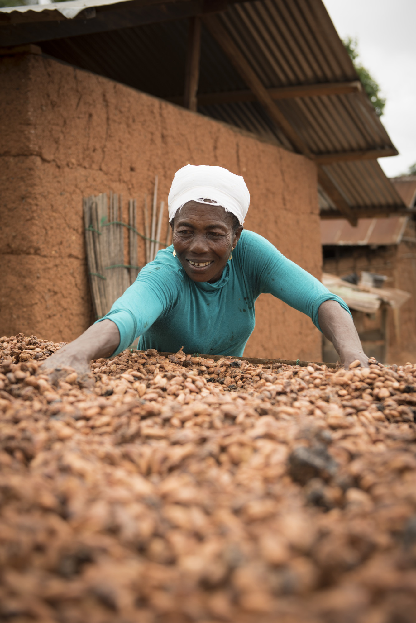 production de fèves de cacao