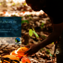 Revenu des ménages chez les producteurs de cacao en Côte d’Ivoire et les stratégies d'amélioration