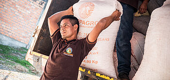 production de cacao