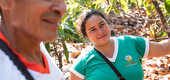 production de cacao