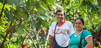 production de cacao