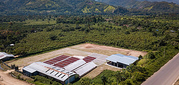 production de cacao