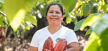 production de cacao