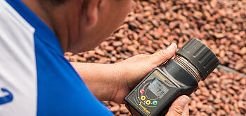 production de cacao