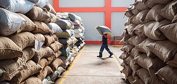 production de cacao